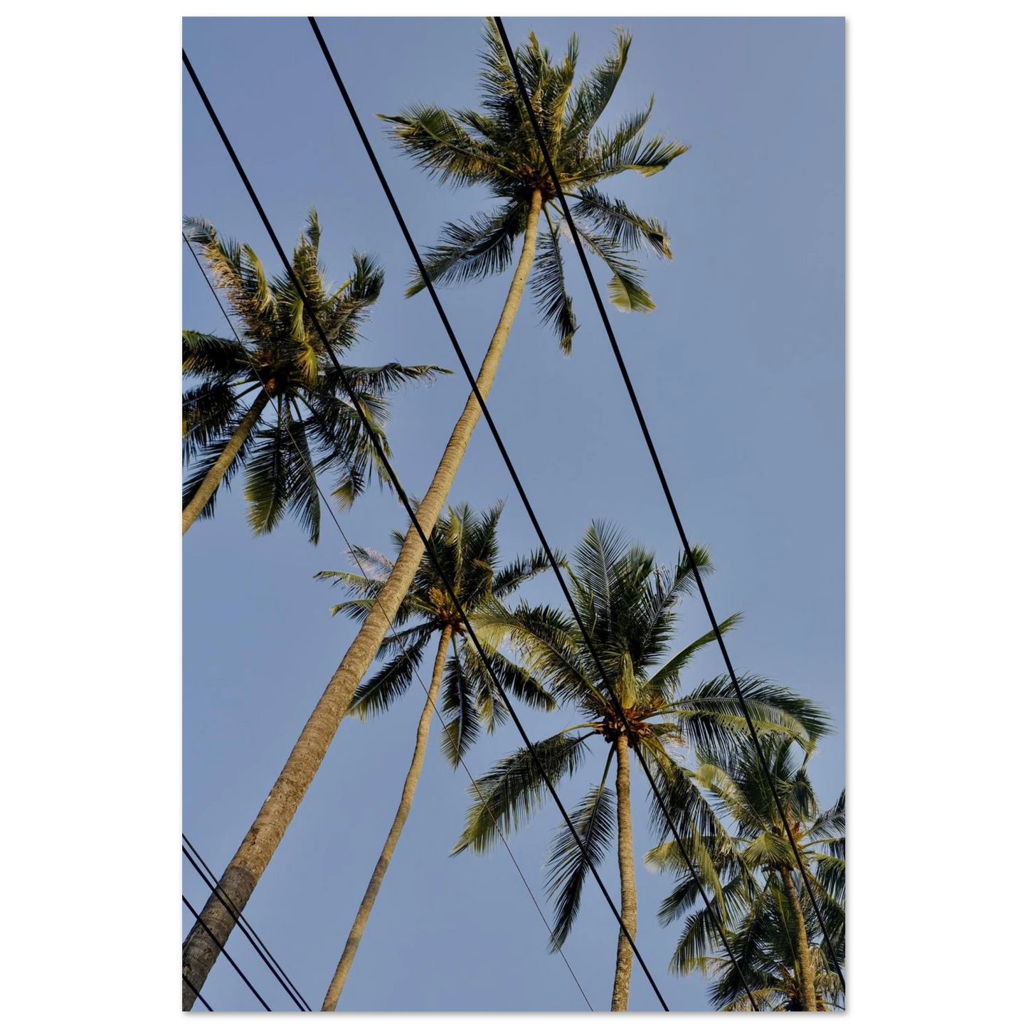 5dec5be2-b5fe-401e-a047-7f317cf8c751