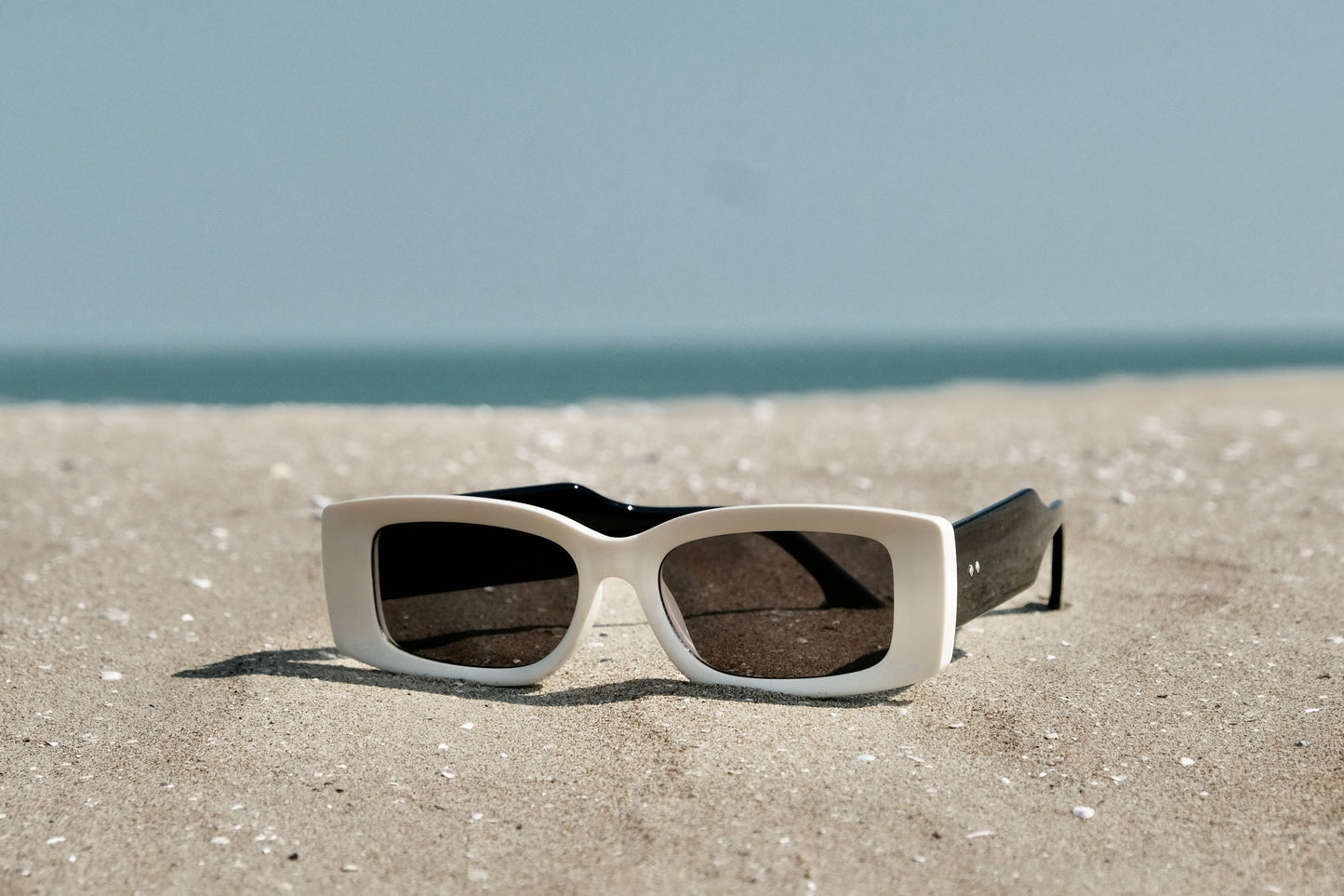 EDITION SUNGLASS CLASSIC