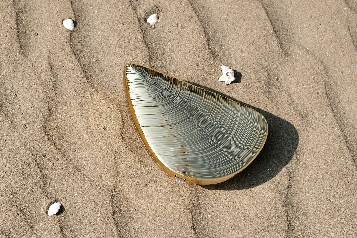 EDITION CLUTCH CLAM