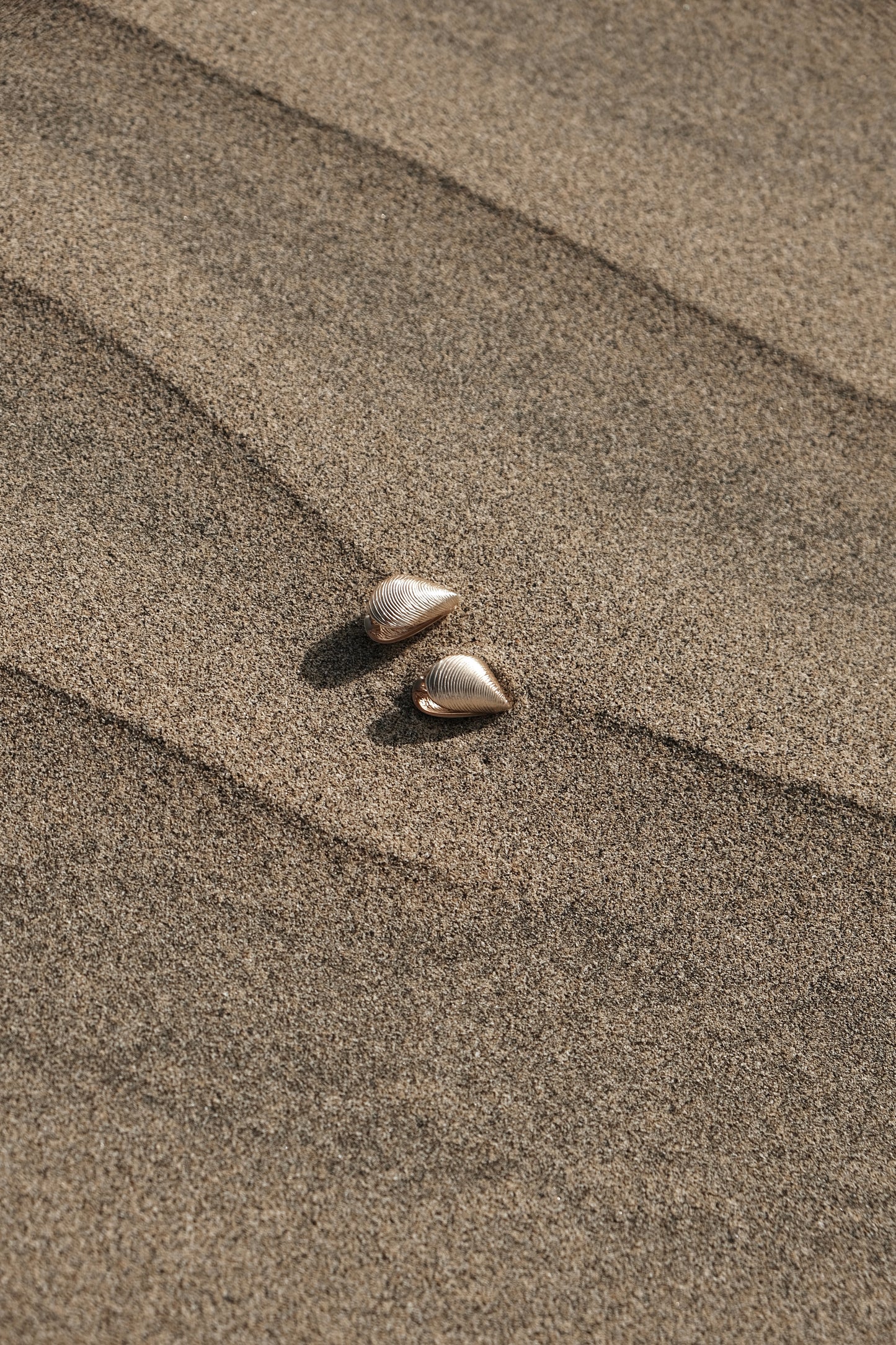 EDITION SHELL EARRING