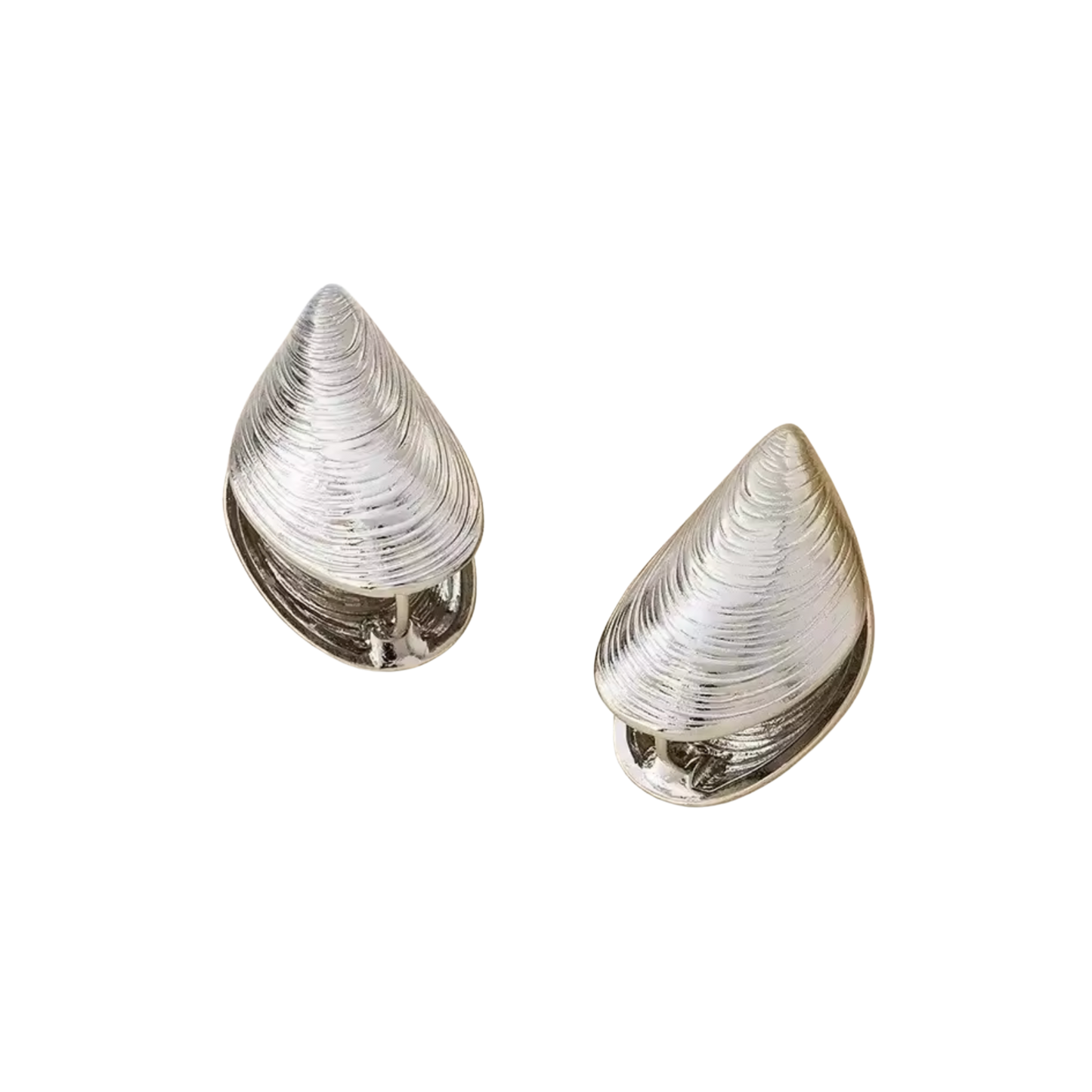 EDITION SHELL EARRING