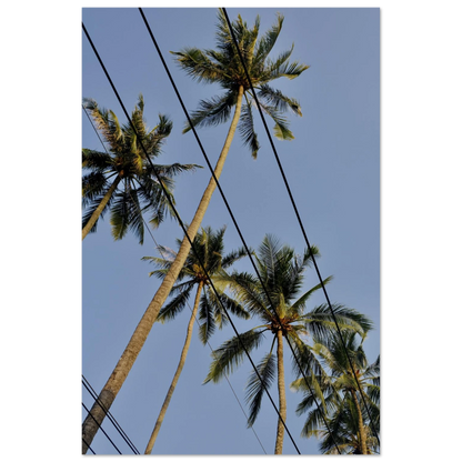 5dec5be2-b5fe-401e-a047-7f317cf8c751