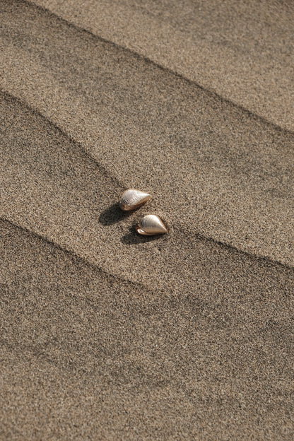 EDITION SHELL EARRING