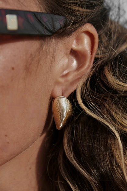 EDITION SHELL EARRING