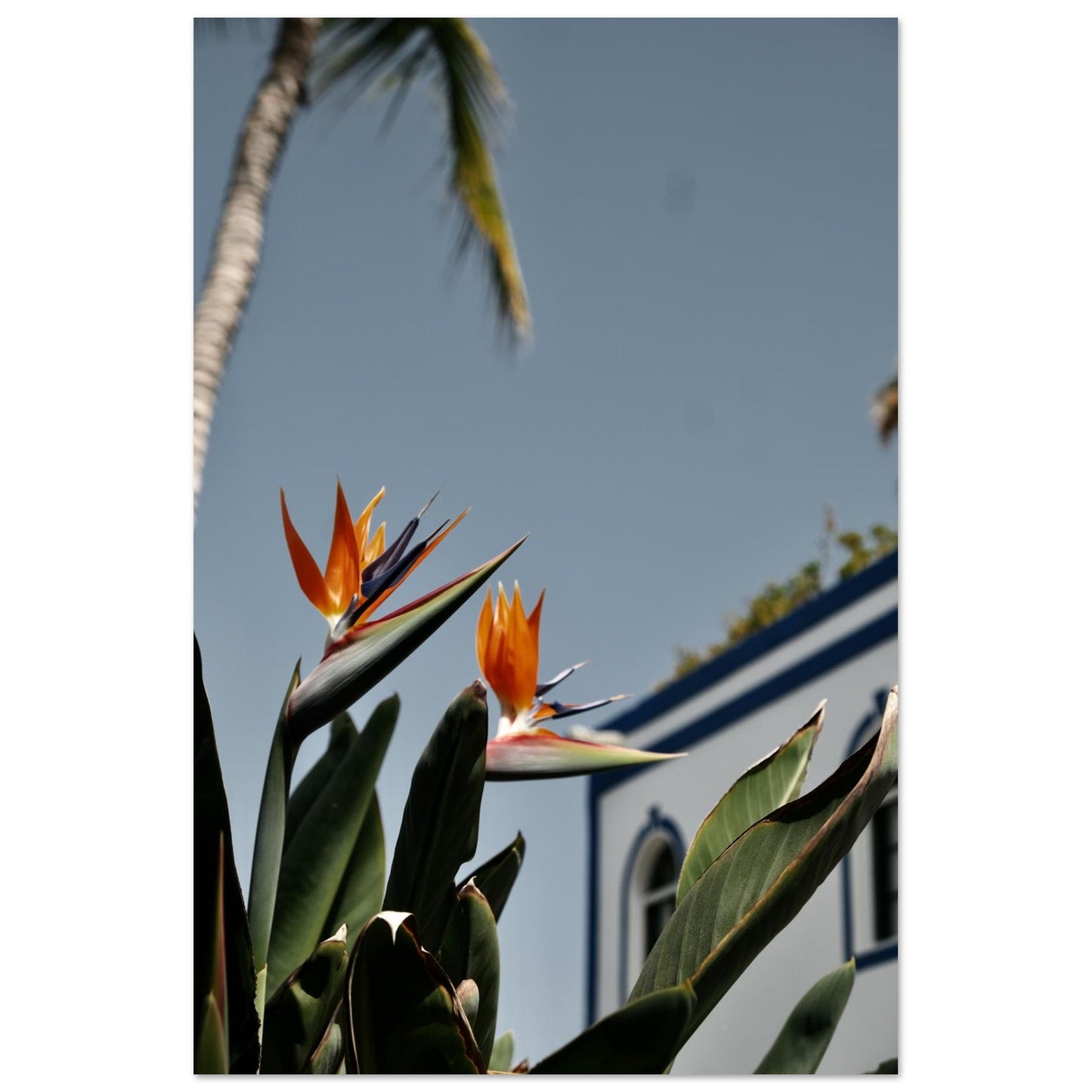ca6b7ab3-7485-48bd-9ffa-813ab864dc99