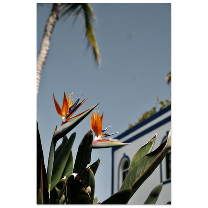 ca6b7ab3-7485-48bd-9ffa-813ab864dc99
