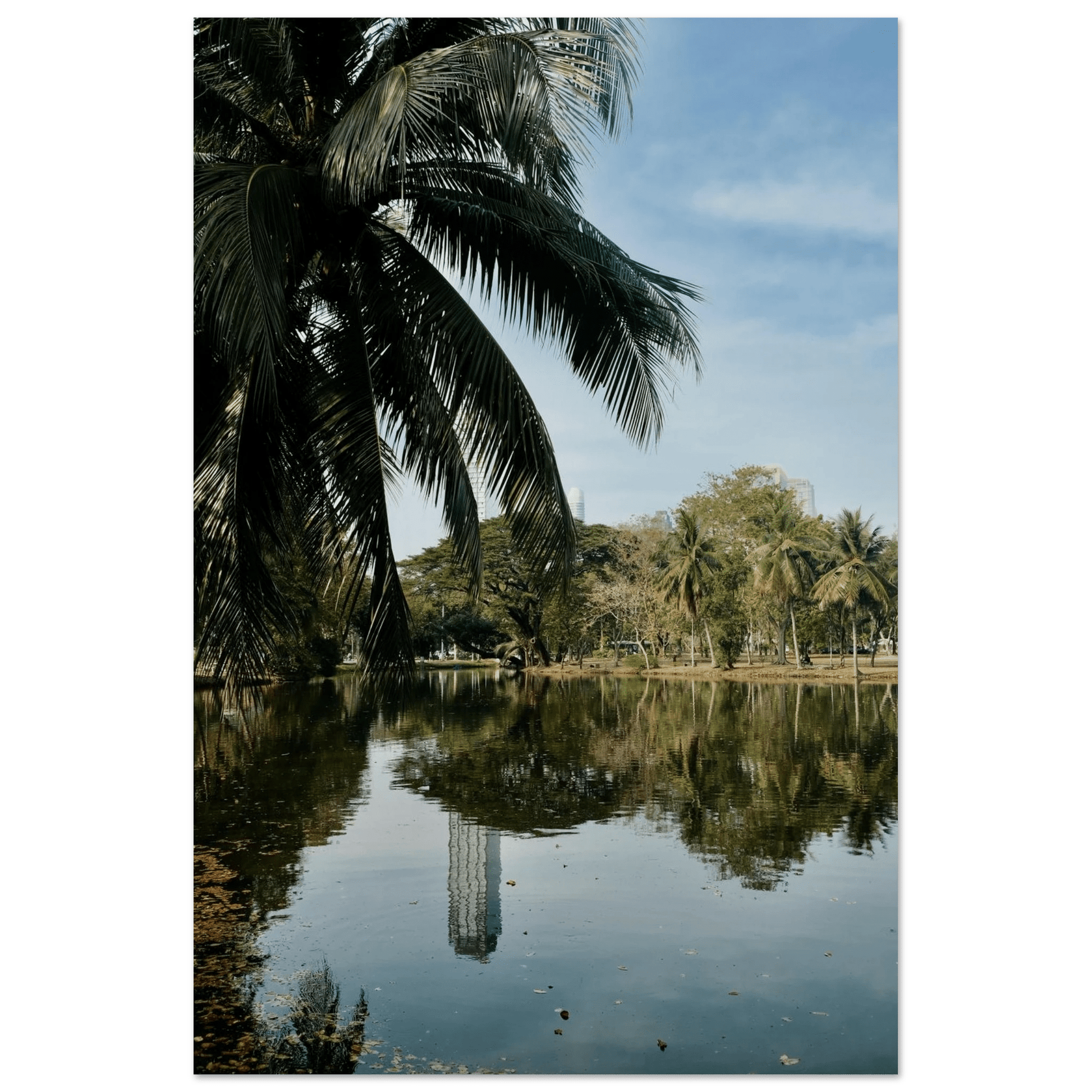 CITY SOUL REFLECTIONS LUMPINI - SENSES boutique.