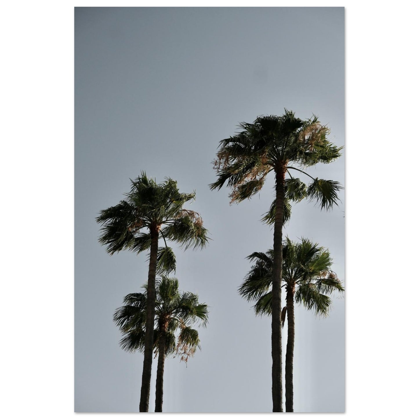dab2f51c-8f22-450c-b0e9-ce006464d5a0