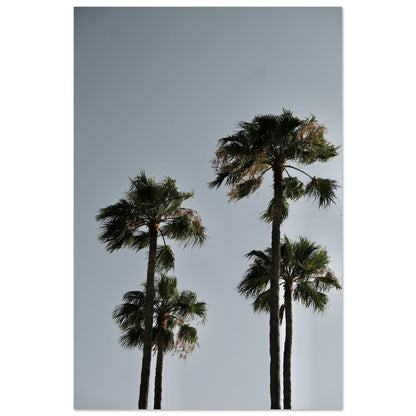 dab2f51c-8f22-450c-b0e9-ce006464d5a0