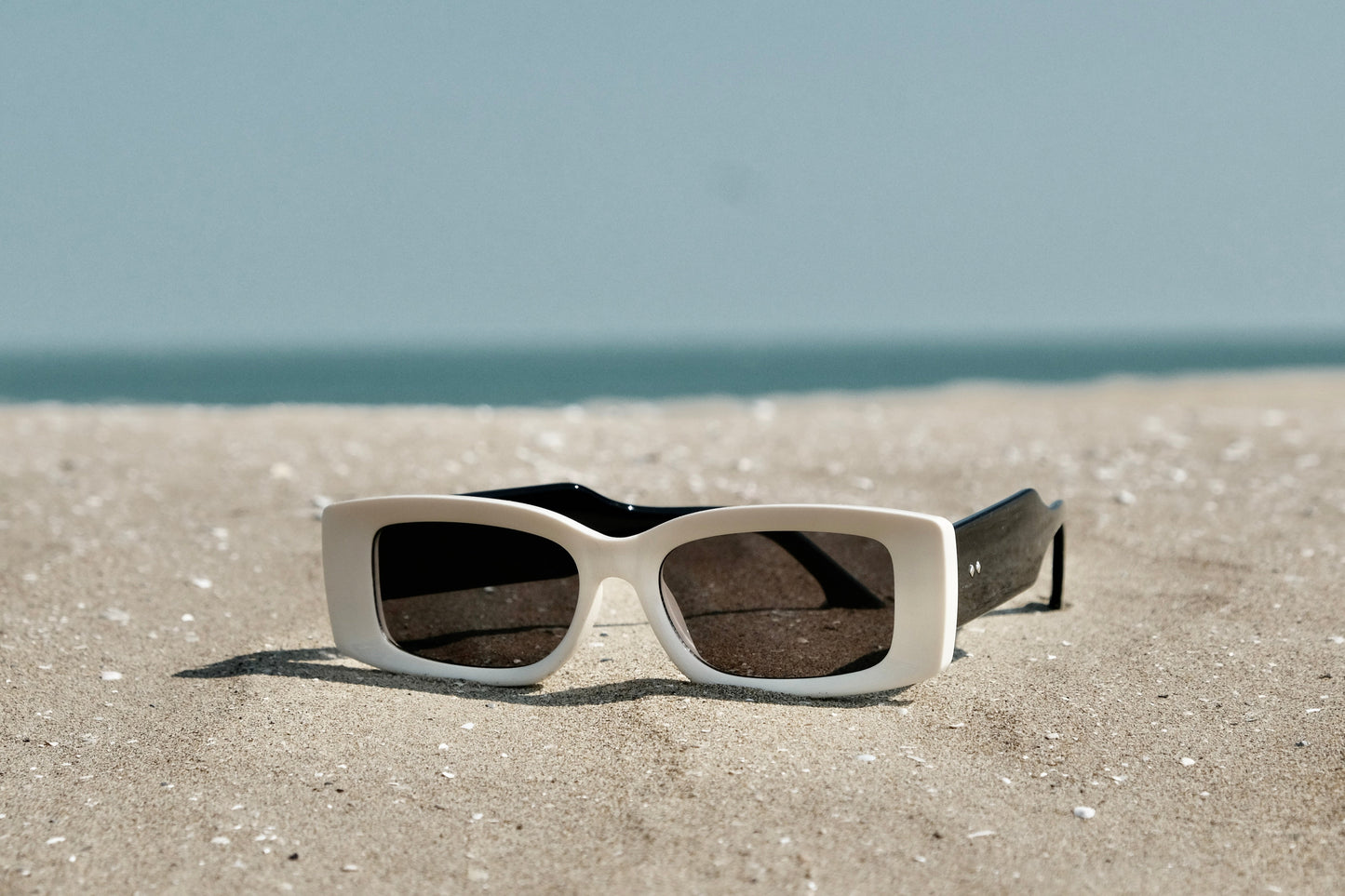 EDITION SUNGLASS CLASSIC - SENSES boutique.