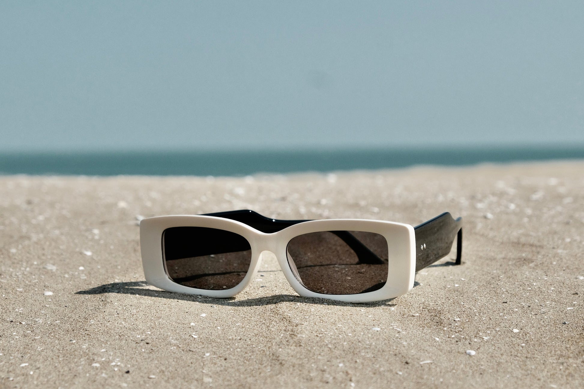 EDITION SUNGLASS CLASSIC - SENSES boutique.