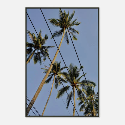 PALMTREE DANCE AONANG PIER - SENSES boutique.