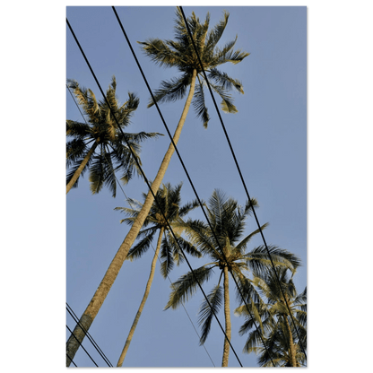 PALMTREE DANCE AONANG PIER - SENSES boutique.