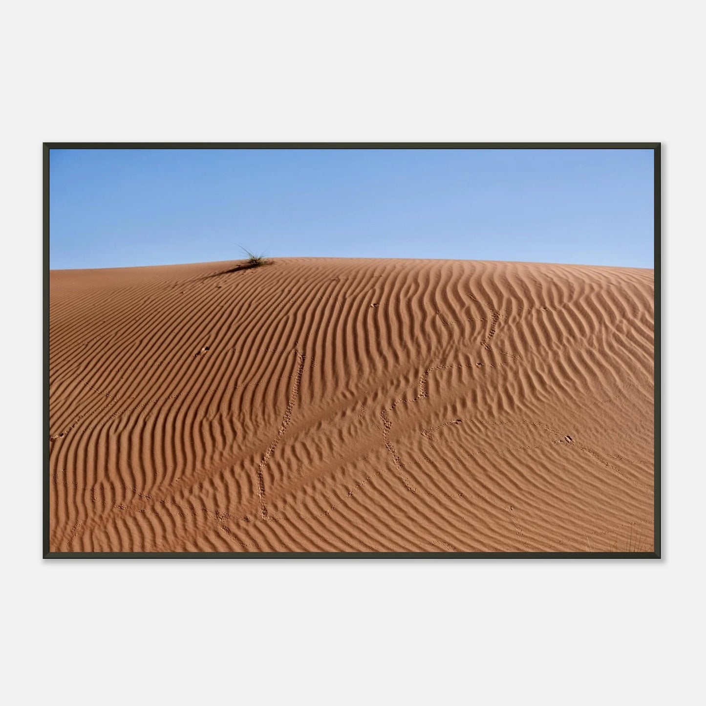 PATTERNS OF DUNES DUBAI - SENSES boutique.