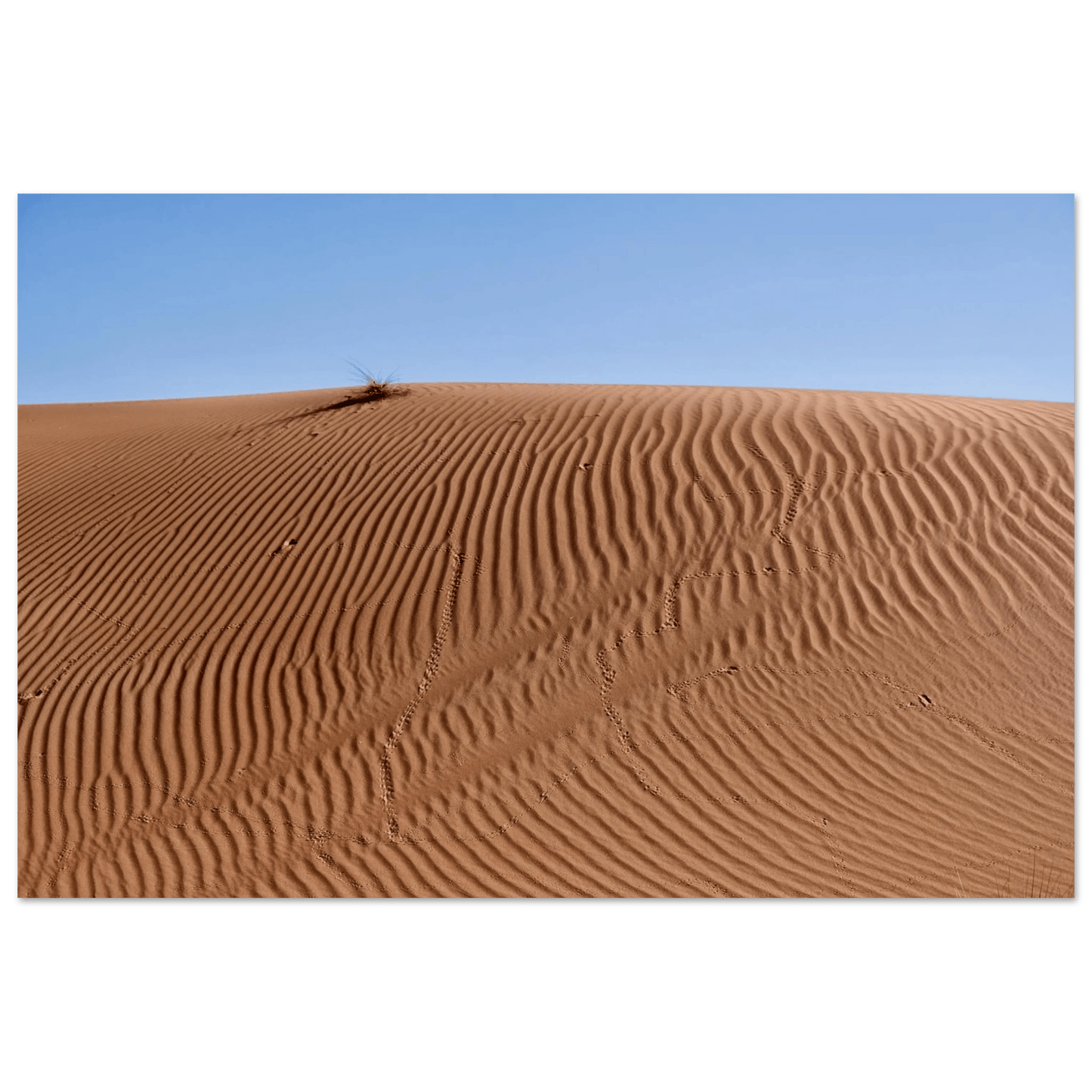 PATTERNS OF DUNES DUBAI - SENSES boutique.