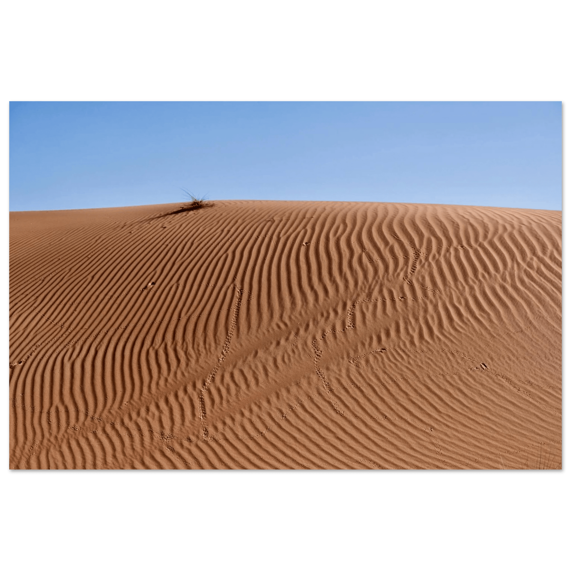 PATTERNS OF DUNES DUBAI - SENSES boutique.