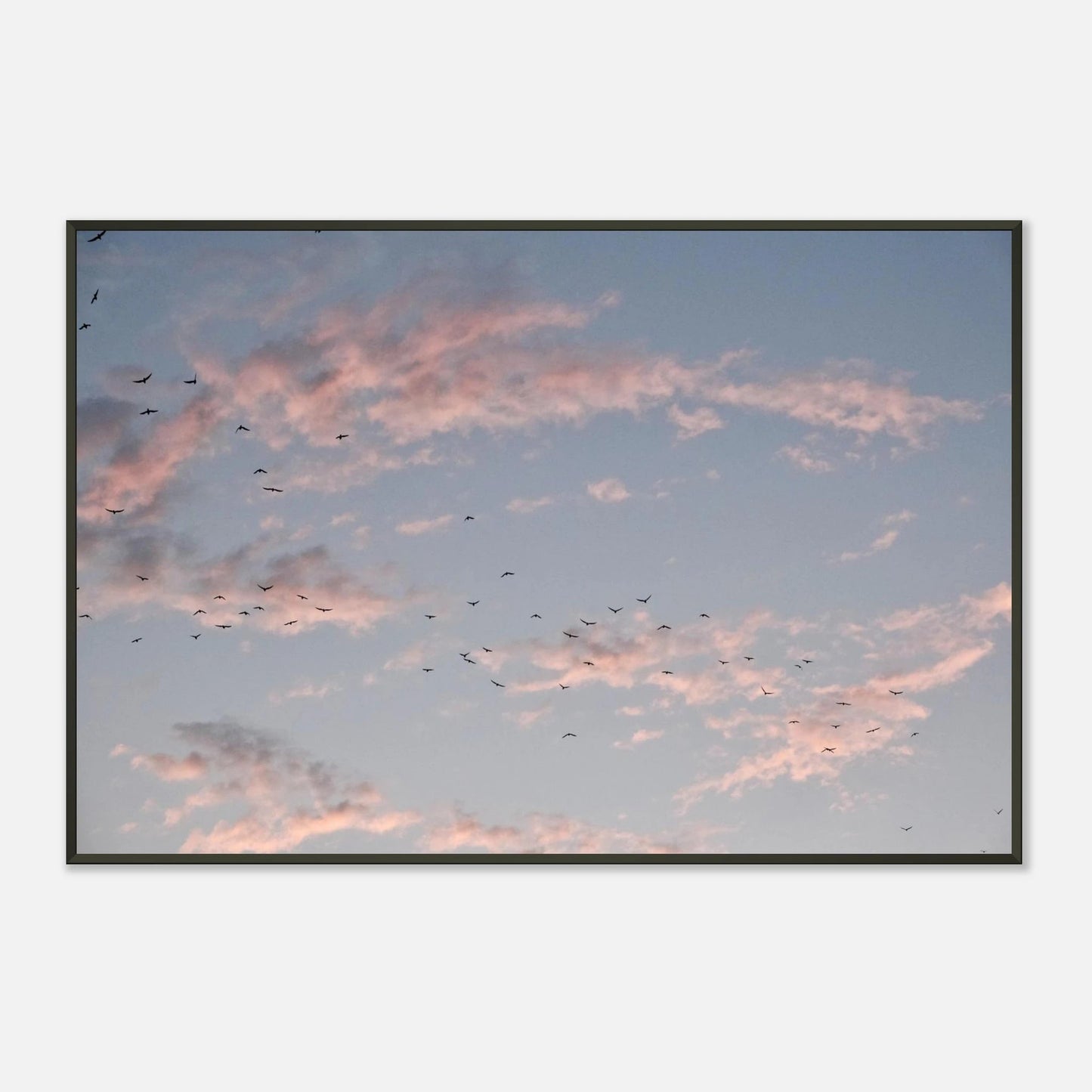 SOFT HORIZON DUBAI - SENSES boutique.