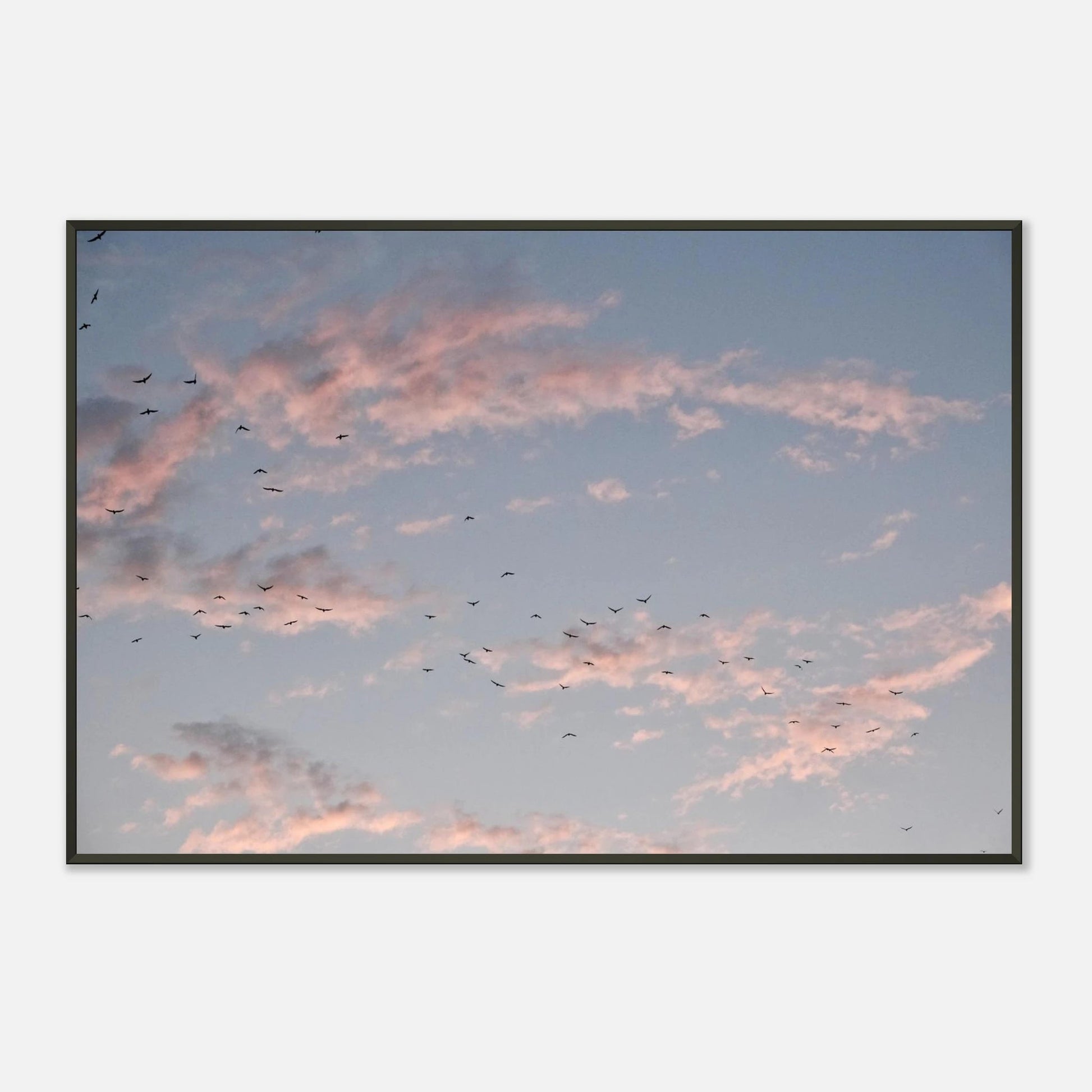 SOFT HORIZON DUBAI - SENSES boutique.