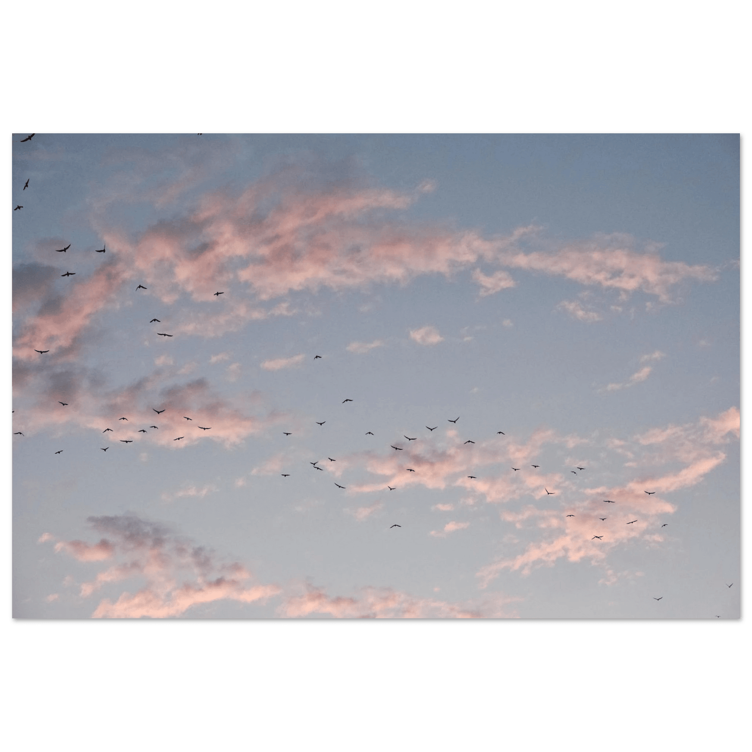 SOFT HORIZON DUBAI - SENSES boutique.