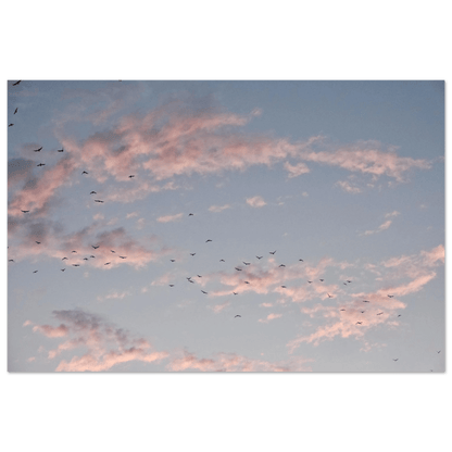 SOFT HORIZON DUBAI - SENSES boutique.