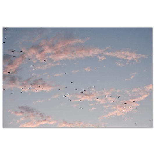 SOFT HORIZON DUBAI - SENSES boutique.