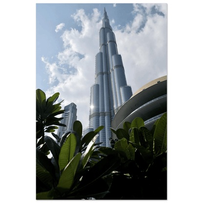 URBAN OASIS - SENSES boutique.