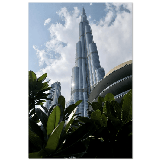 URBAN OASIS - SENSES boutique.