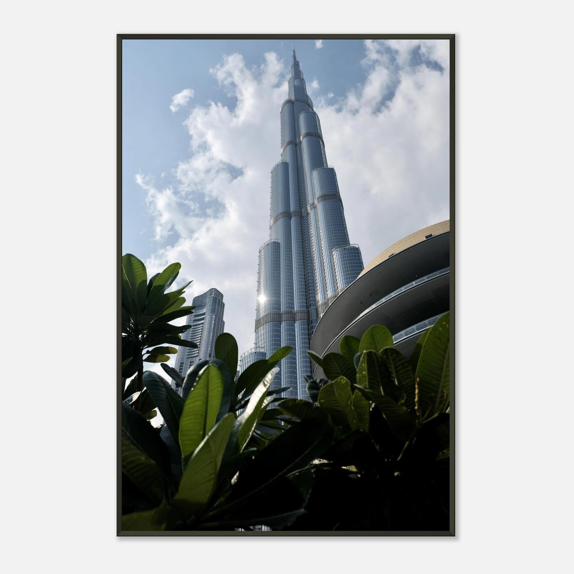 URBAN OASIS - SENSES boutique.